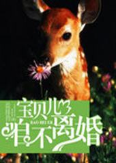 宝贝儿咱不离婚txt百度云网盘