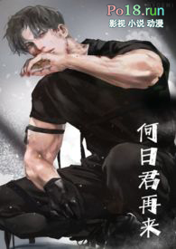 何日请长缨小说